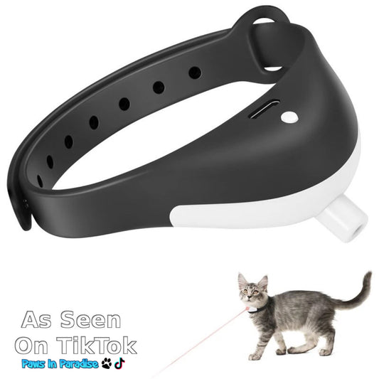 Smart Laser Cat Collar