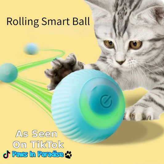 Rolling Smart Ball For Cats
